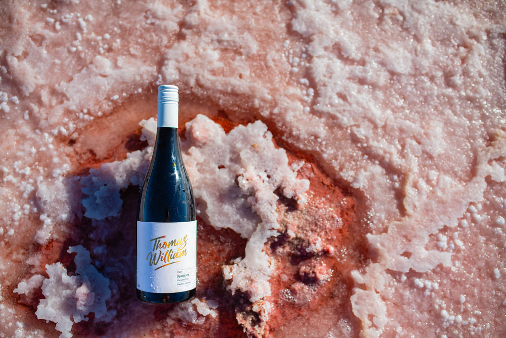 2023 Thomas William Wines Syrah & co